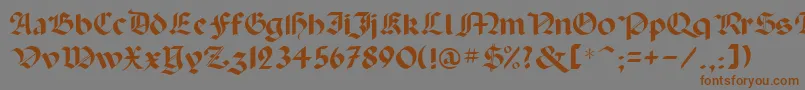 Paladinrus Font – Brown Fonts on Gray Background