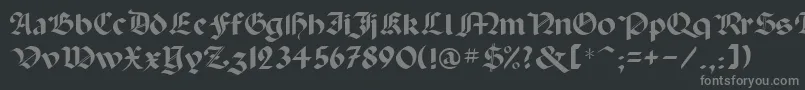 フォントPaladinrus – 黒い背景に灰色の文字