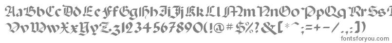 Шрифт Paladinrus – серые шрифты