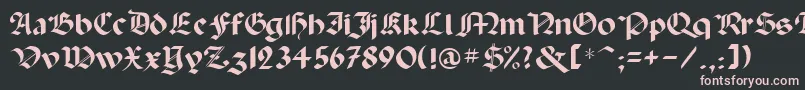 Paladinrus-Schriftart – Rosa Schriften auf schwarzem Hintergrund