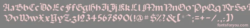 Paladinrus-Schriftart – Rosa Schriften auf grauem Hintergrund