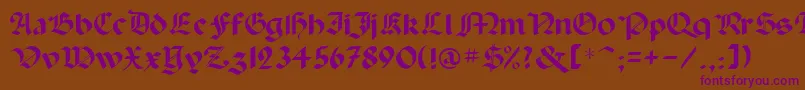 Paladinrus Font – Purple Fonts on Brown Background