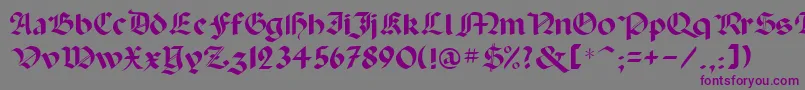Paladinrus Font – Purple Fonts on Gray Background