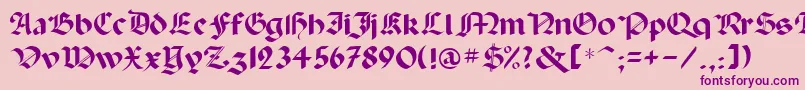 Paladinrus Font – Purple Fonts on Pink Background