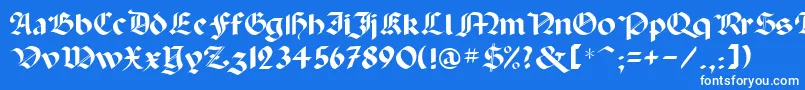 Paladinrus-Schriftart – Weiße Schriften auf blauem Hintergrund