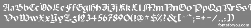 Paladinrus-Schriftart – Weiße Schriften auf grauem Hintergrund