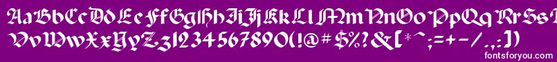 フォントPaladinrus – 紫の背景に白い文字