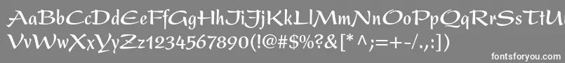 PresentltstdBoldcondensed Font – White Fonts on Gray Background