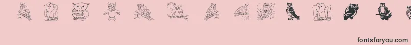 Aez Owls For Traci-Schriftart – Schwarze Schriften auf rosa Hintergrund