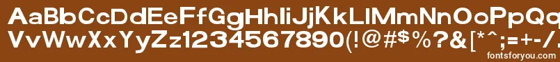 Funzone3Pro Font – White Fonts on Brown Background