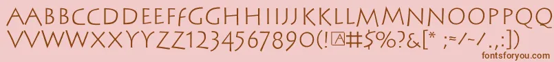 Steinantik Font – Brown Fonts on Pink Background