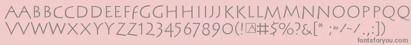 Steinantik Font – Gray Fonts on Pink Background