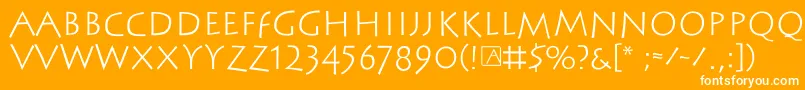 Steinantik Font – White Fonts on Orange Background