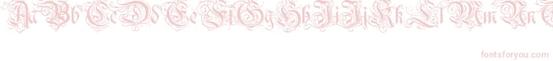 Ruritania-Schriftart – Rosa Schriften auf weißem Hintergrund