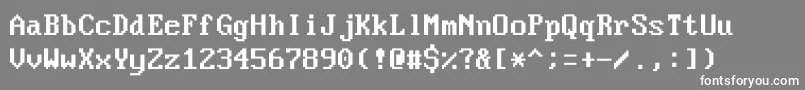 VideoterminalscreenNormal Font – White Fonts on Gray Background