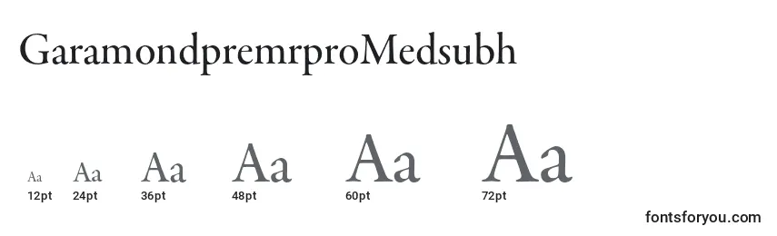 GaramondpremrproMedsubh Font Sizes