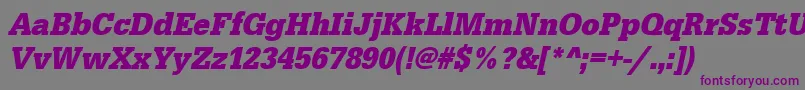 UrwegyptiennetextnarBoldOblique Font – Purple Fonts on Gray Background
