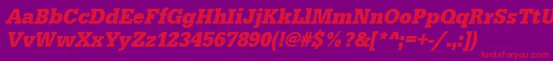 UrwegyptiennetextnarBoldOblique Font – Red Fonts on Purple Background