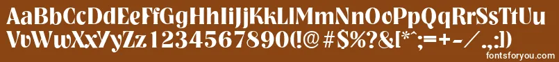 NashvilleserialBold Font – White Fonts on Brown Background