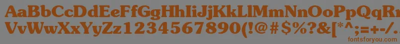 SouvenirstdBold Font – Brown Fonts on Gray Background