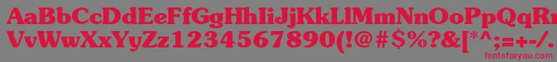 SouvenirstdBold Font – Red Fonts on Gray Background