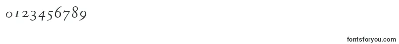FanwoodTextItalic Font – Fonts for Numbers and Digits