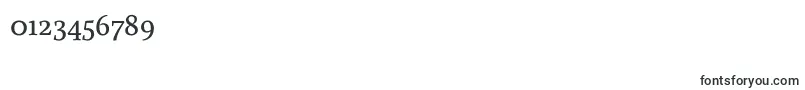 BuenardRegular Font – Fonts for Numbers and Digits