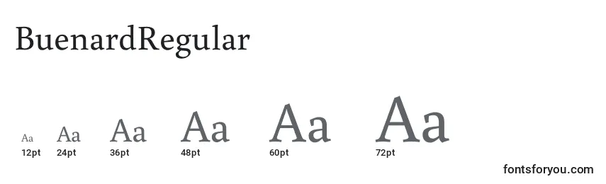 BuenardRegular Font Sizes