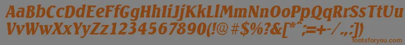 Czcionka SeagullserialBlackItalic – brązowe czcionki na szarym tle