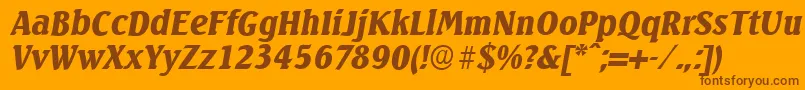 SeagullserialBlackItalic Font – Brown Fonts on Orange Background