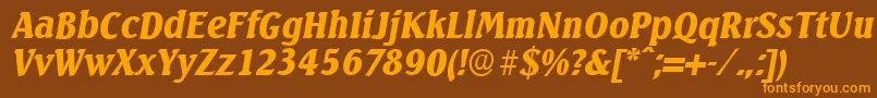 SeagullserialBlackItalic Font – Orange Fonts on Brown Background