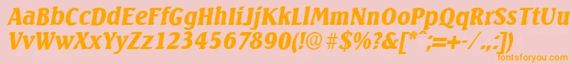 SeagullserialBlackItalic Font – Orange Fonts on Pink Background