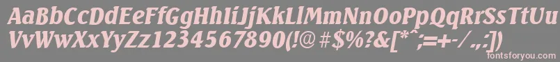 SeagullserialBlackItalic Font – Pink Fonts on Gray Background