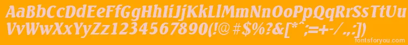 SeagullserialBlackItalic Font – Pink Fonts on Orange Background
