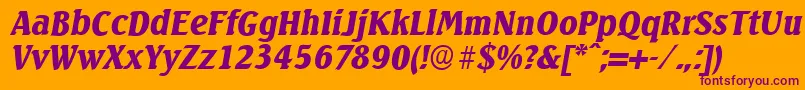 SeagullserialBlackItalic Font – Purple Fonts on Orange Background