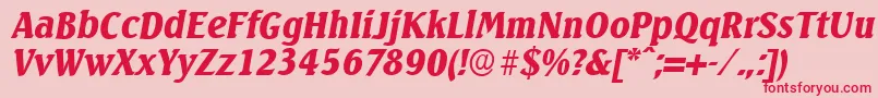 SeagullserialBlackItalic Font – Red Fonts on Pink Background