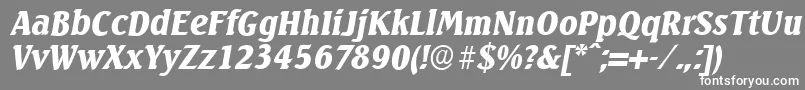 フォントSeagullserialBlackItalic – 灰色の背景に白い文字