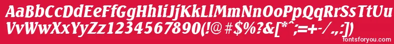 フォントSeagullserialBlackItalic – 赤い背景に白い文字