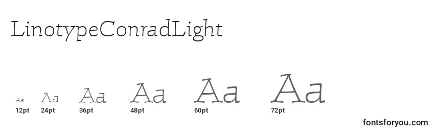 Размеры шрифта LinotypeConradLight
