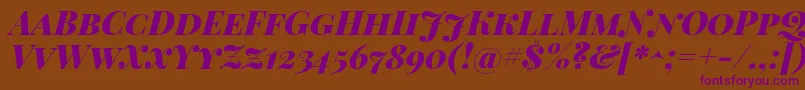 Playfairdisplaysc Font – Purple Fonts on Brown Background