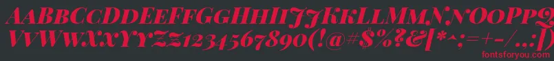Playfairdisplaysc Font – Red Fonts on Black Background