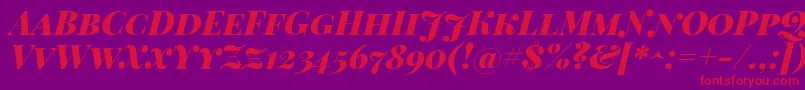 フォントPlayfairdisplaysc – 紫の背景に赤い文字