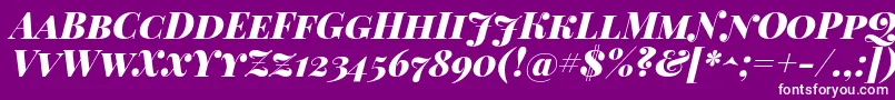 Playfairdisplaysc Font – White Fonts on Purple Background
