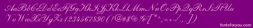 PenTweaksTwoSsi Font – Pink Fonts on Purple Background