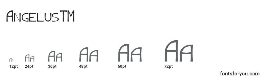 Размеры шрифта AngelusTM