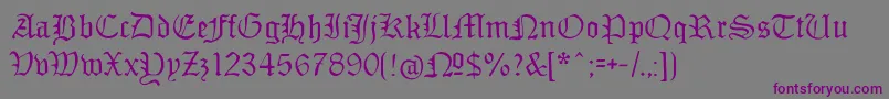 Monamourfraktur Font – Purple Fonts on Gray Background