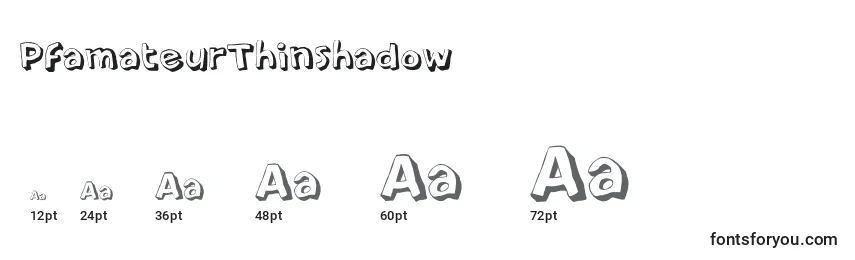 Размеры шрифта PfamateurThinshadow