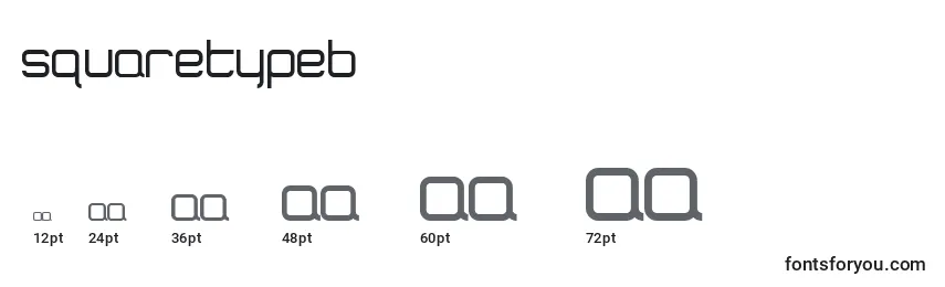 Размеры шрифта SquaretypeB
