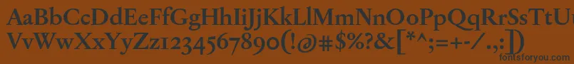 JannonTModerneProBold Font – Black Fonts on Brown Background