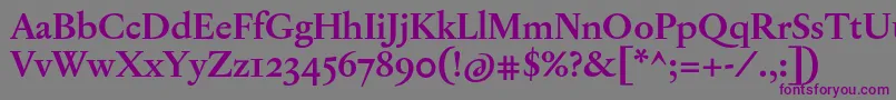 JannonTModerneProBold Font – Purple Fonts on Gray Background